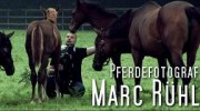 Marc Ruehl - horse photographer